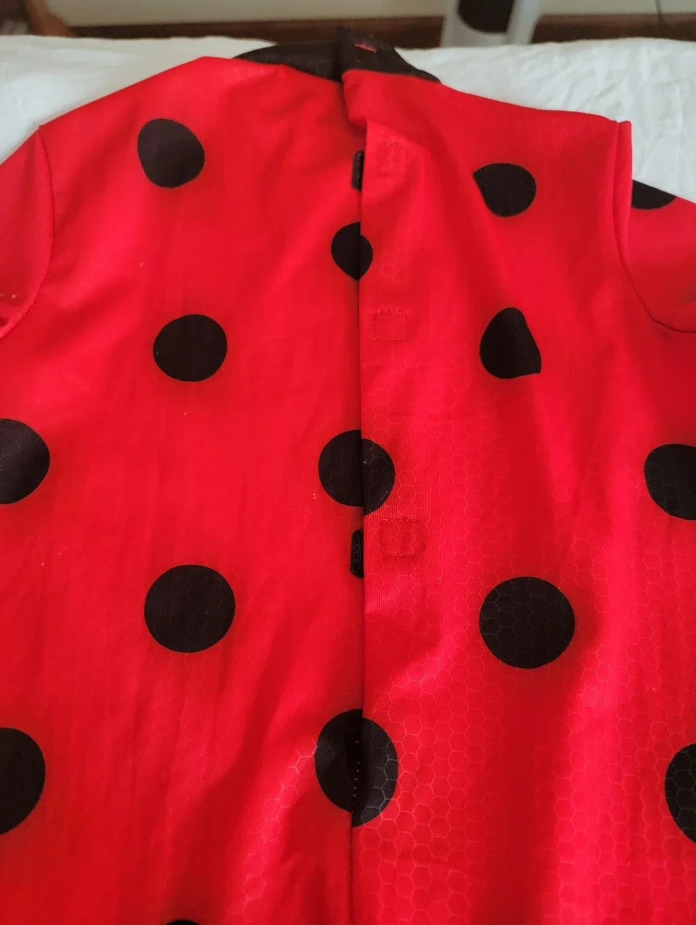 Miraculous Ladybug Cosplay Costume